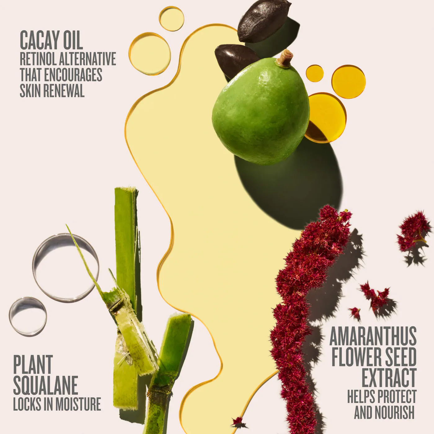 Sol de Janeiro Beija Flor™ Body Oil 100ml - Imagen 3