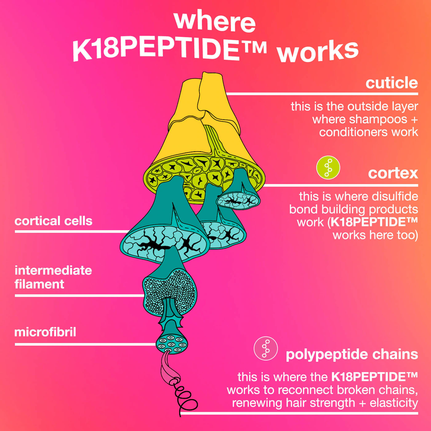 K18 Biomimetic Hairscience Healthy Volume Minis Hair Gift Set - Imagen 3